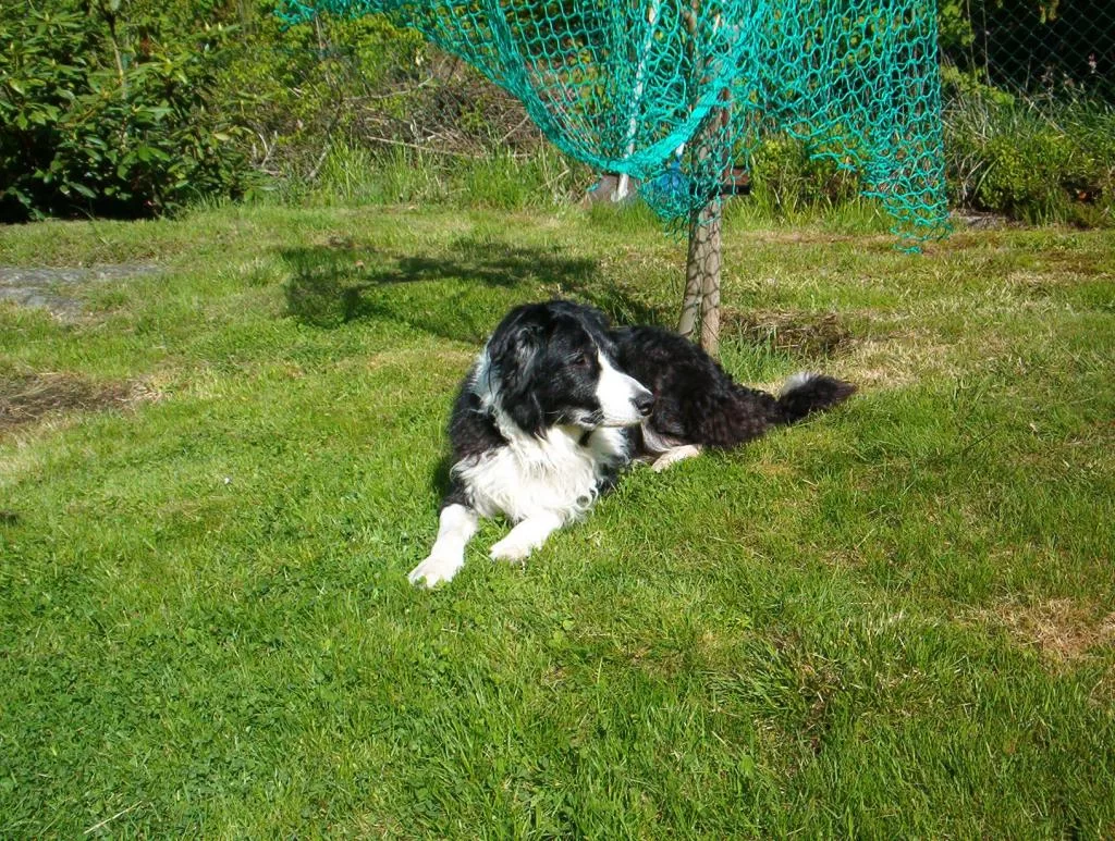 Grimmy 03-06-02 nr22.webp