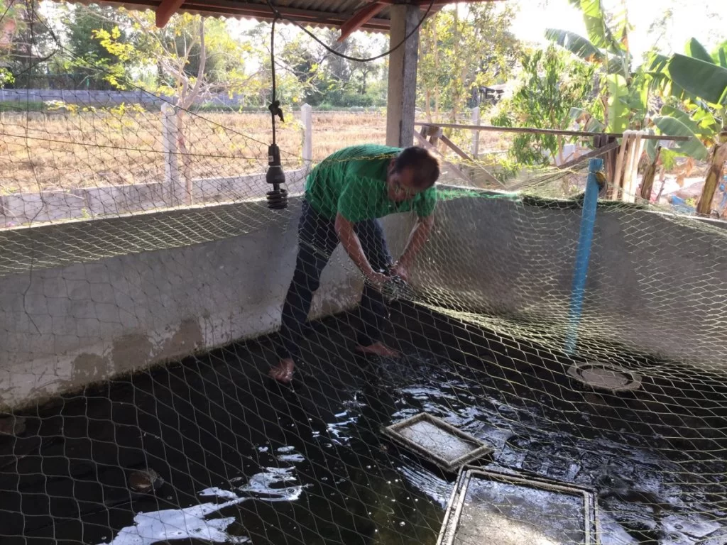 Grodsortering 1.webp