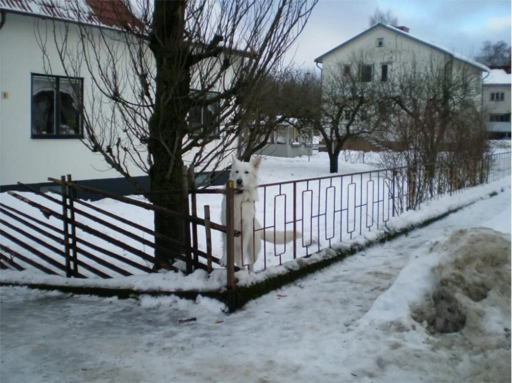 hälsar faster välkommen.webp