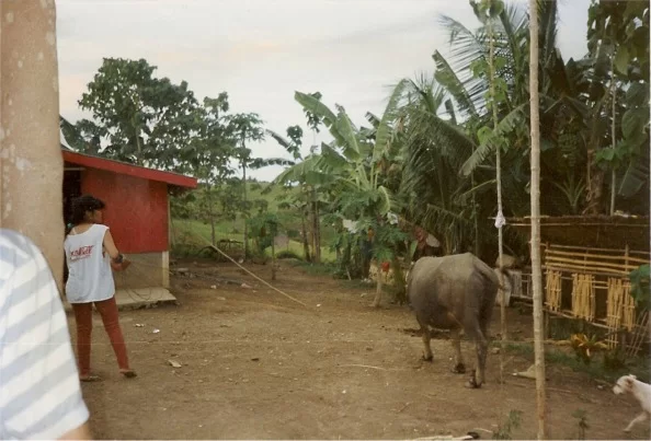 här leder dom bort han.webp