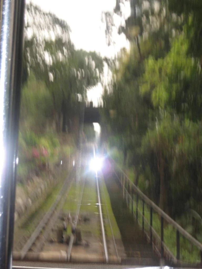 Hong Kong 2009 020.webp