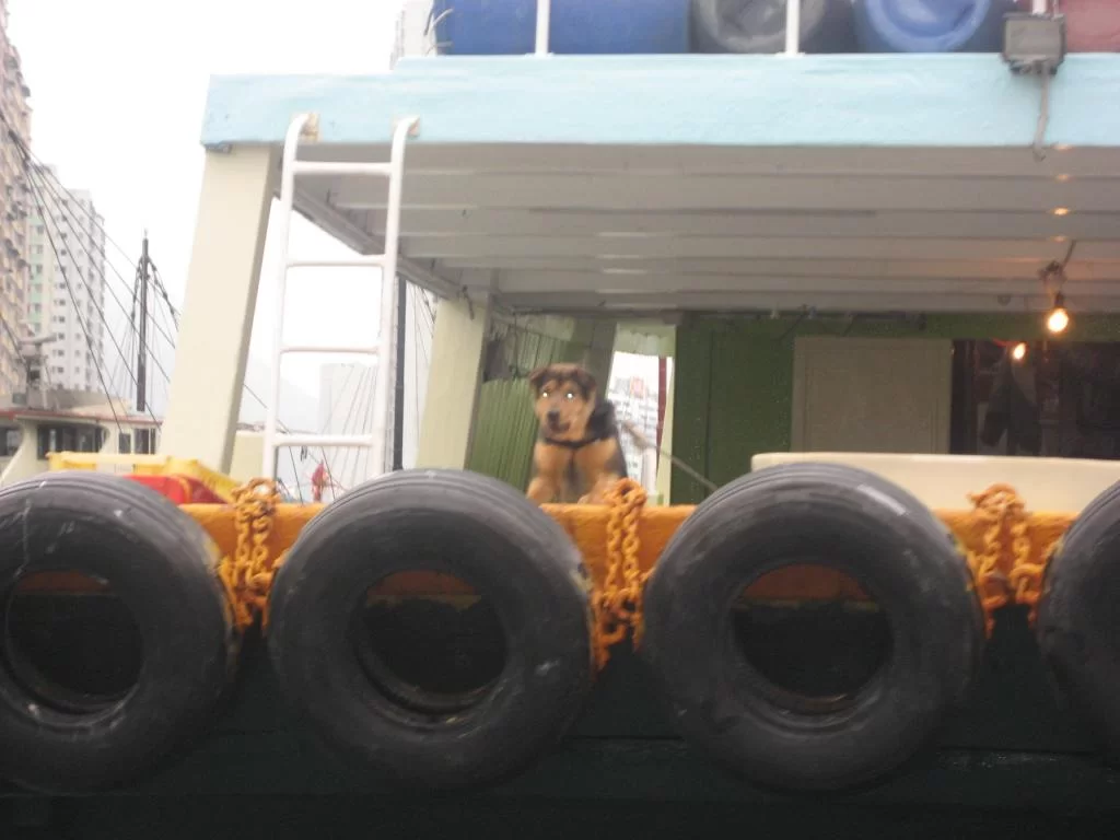 Hong Kong 2009 042.webp