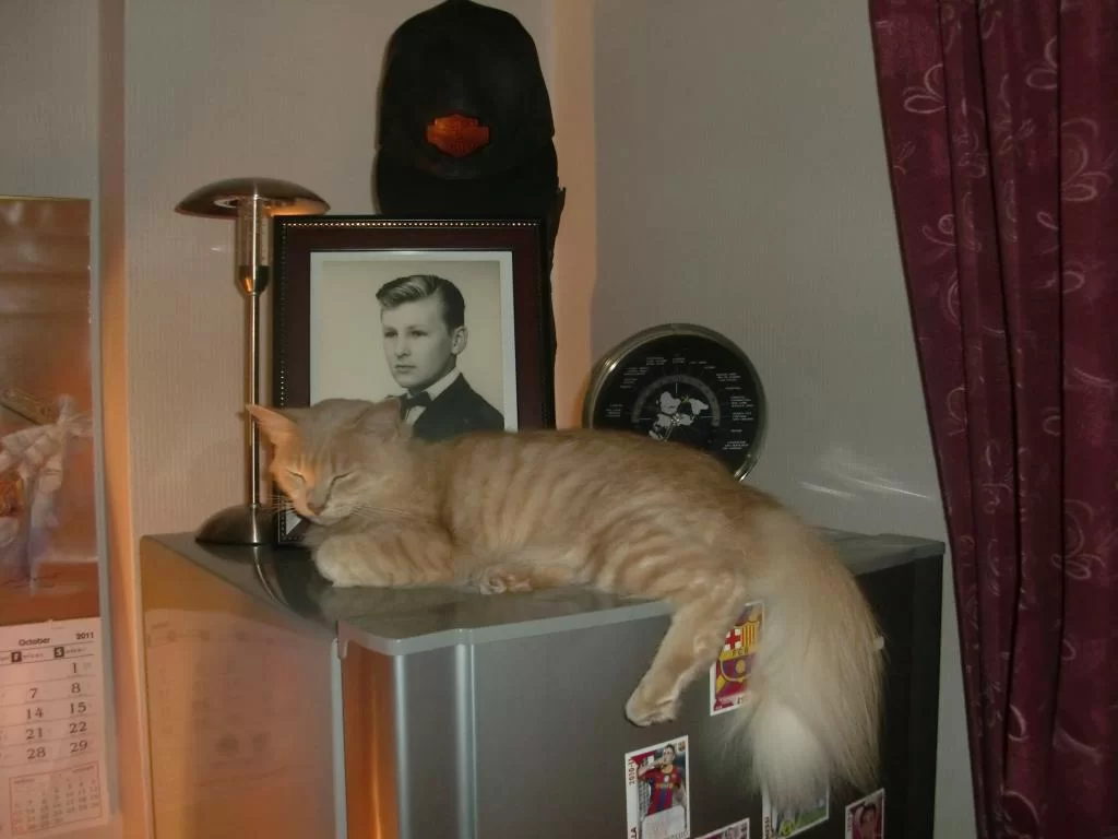 höst 2011 sverige och Thailand 035.webp