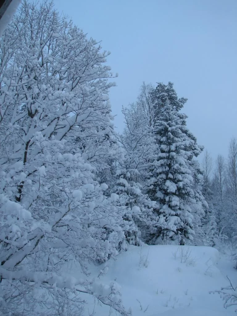 Hub och vinter 2010 005.webp