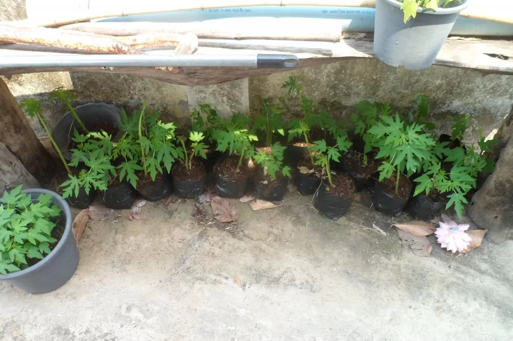 Husnedtagning 083.webp