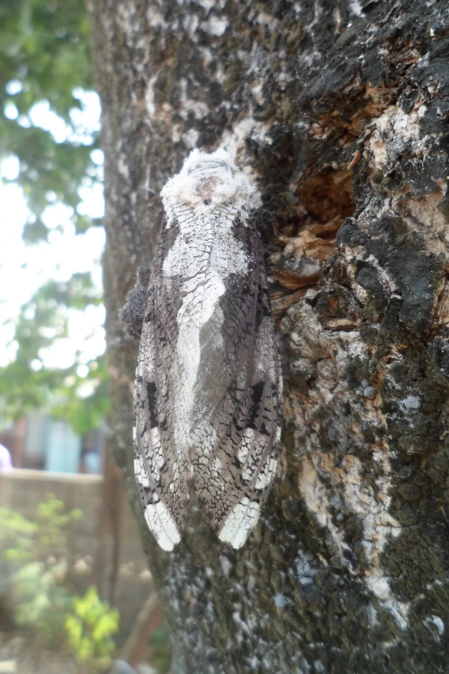 Husnedtagning 090.webp