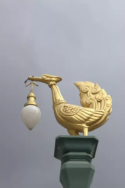 IMG_0052 [800x600].webp