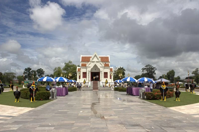 IMG_0107 [800x600].webp