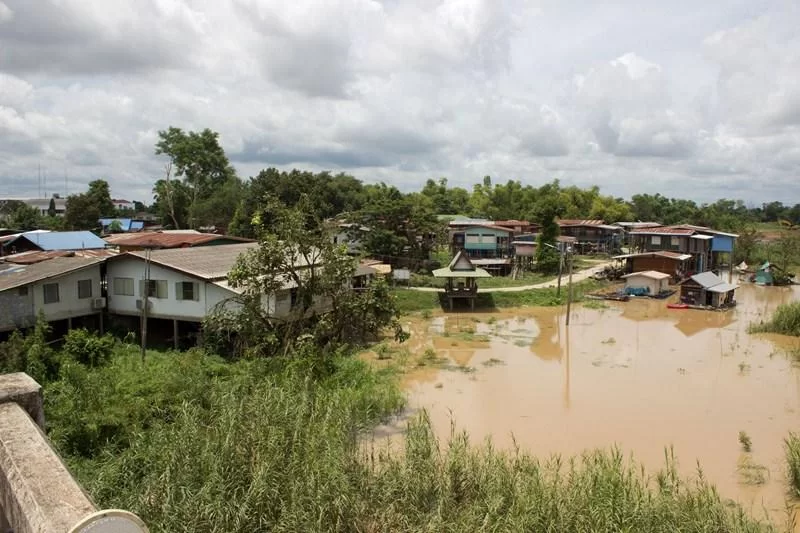 IMG_0197 [800x600].webp