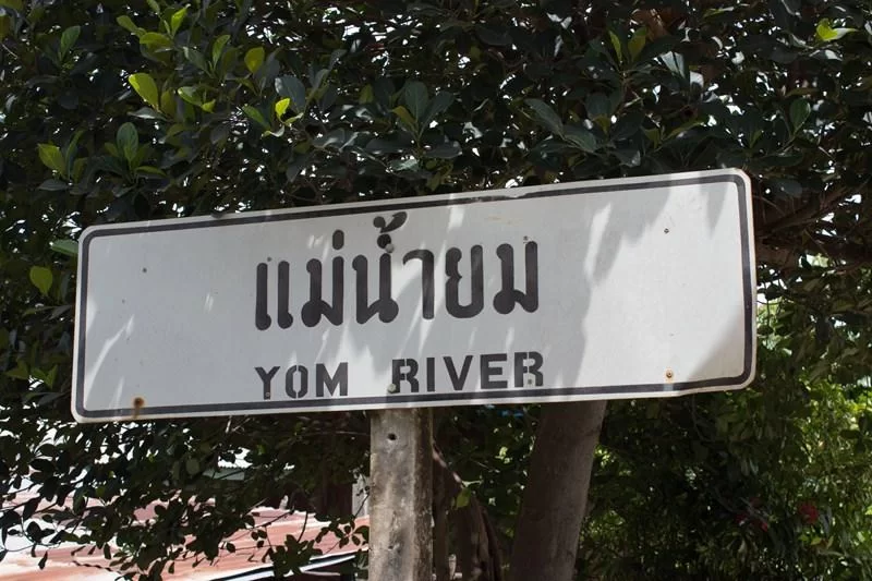 IMG_0200 [800x600].webp