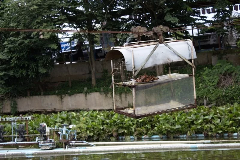 IMG_0229 [800x600].webp