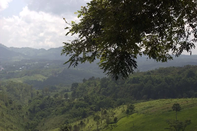 IMG_0240 [800x600].webp