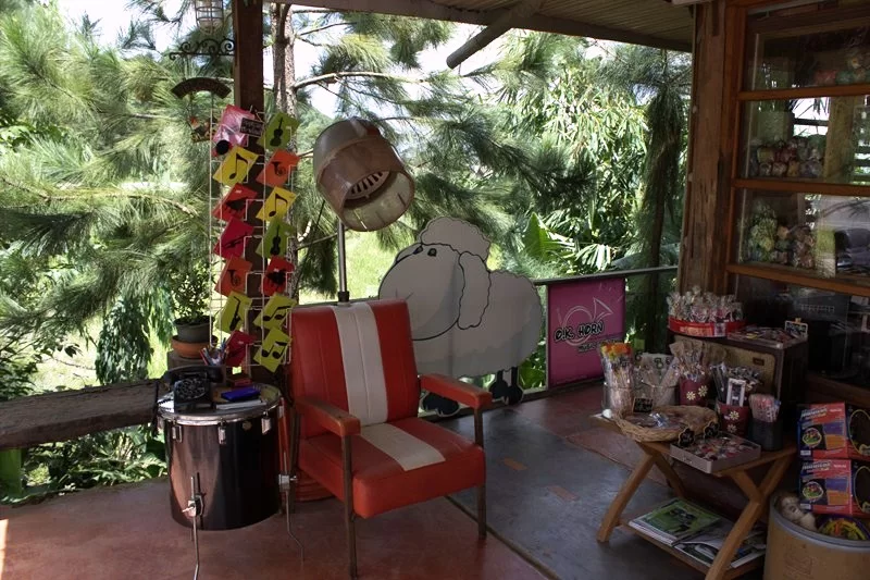 IMG_0283 [800x600].webp