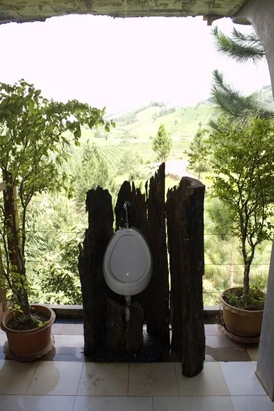 IMG_0309 [800x600].webp