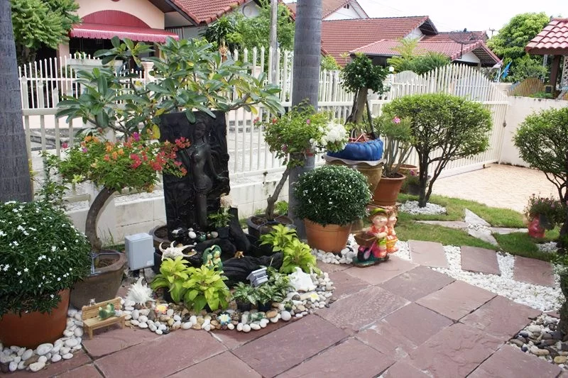 IMG_0402 [800x600].webp