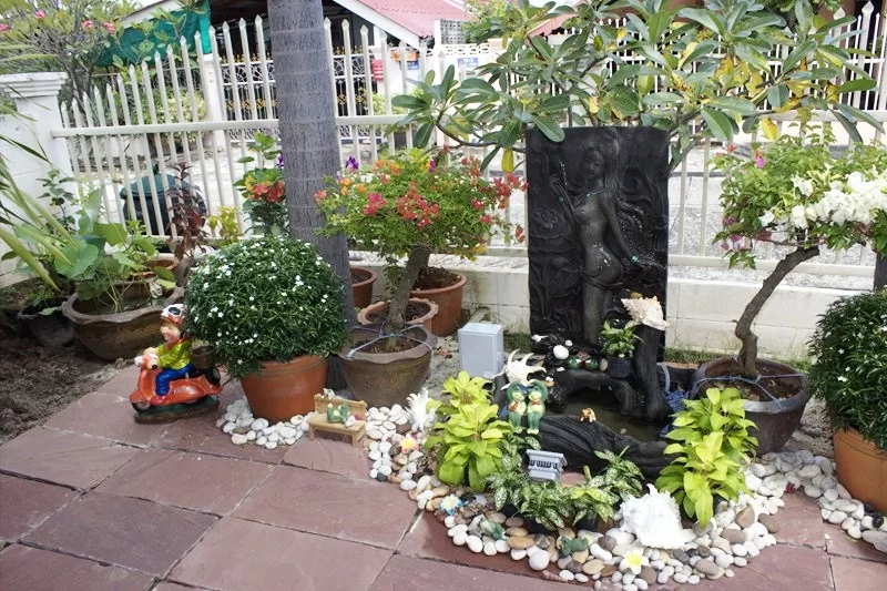 IMG_0403 [800x600].webp