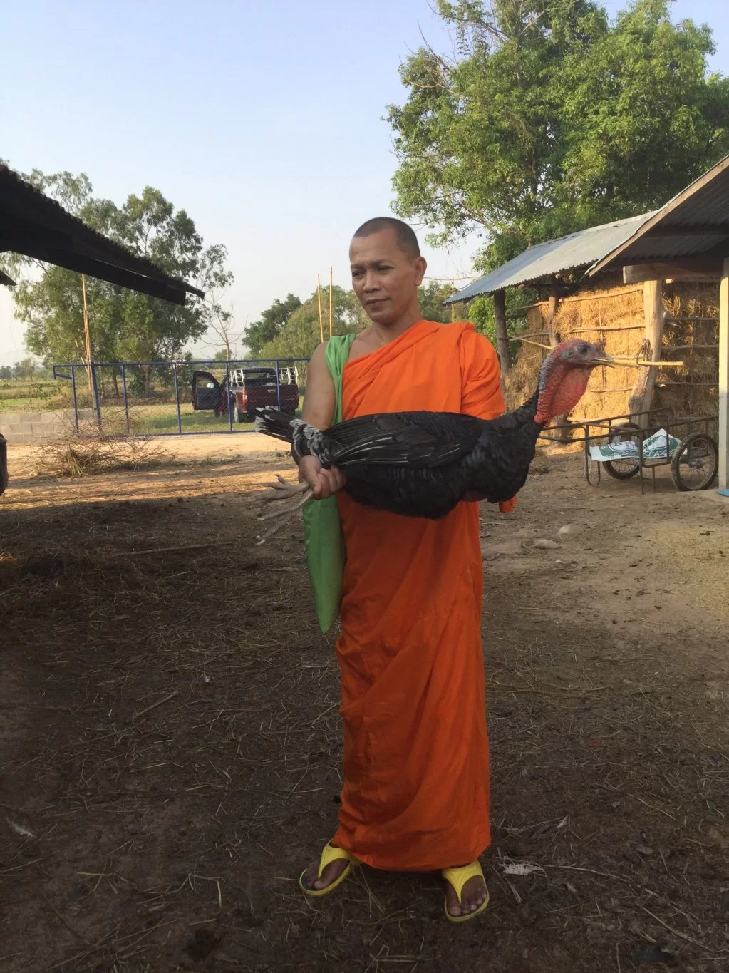 IMG_0869 munkturk.webp