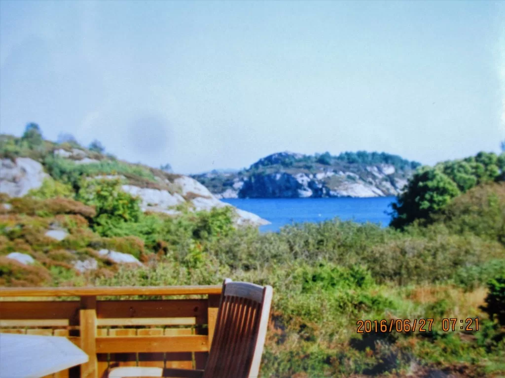 IMG_1773 - kopia - kopia.webp