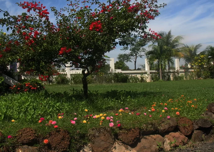 IMG_3171 Flowers.webp