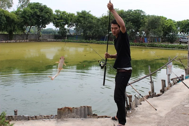 IMG_3564 [800x600].webp