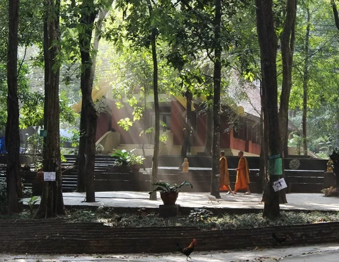 IMG_3594 [800x600].webp