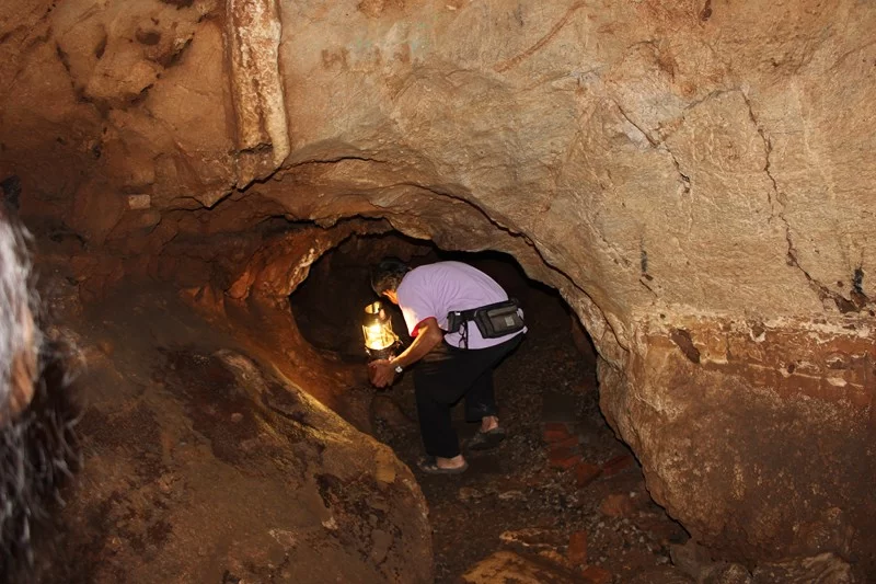 IMG_3746 [800x600].webp