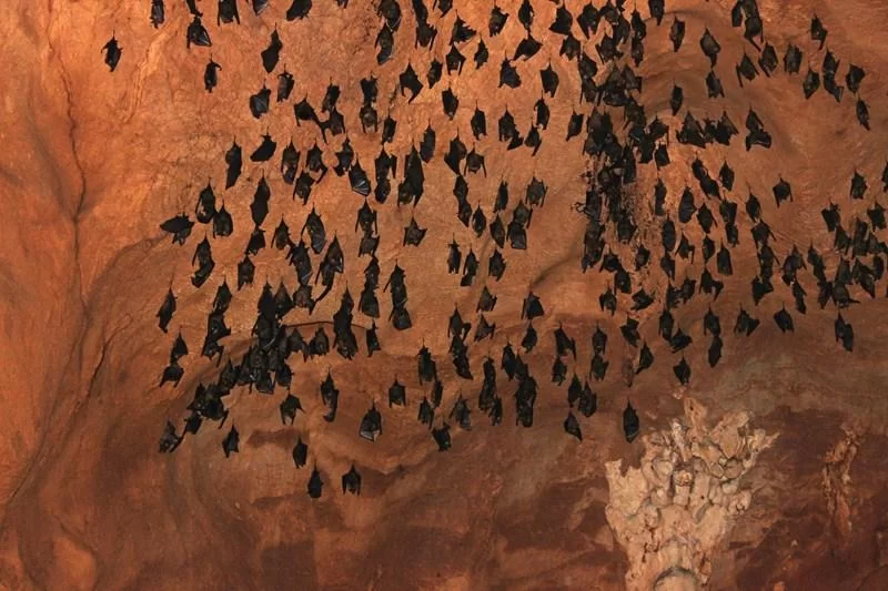 IMG_3781 [800x600].webp