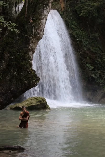 IMG_3850 [800x600].webp