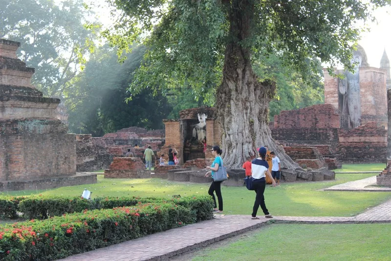 IMG_3923 [800x600].webp