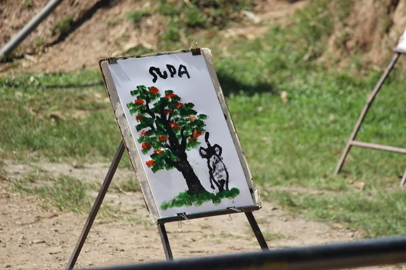 IMG_3985 [800x600].webp