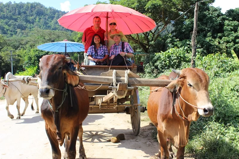 IMG_4010 [800x600].webp