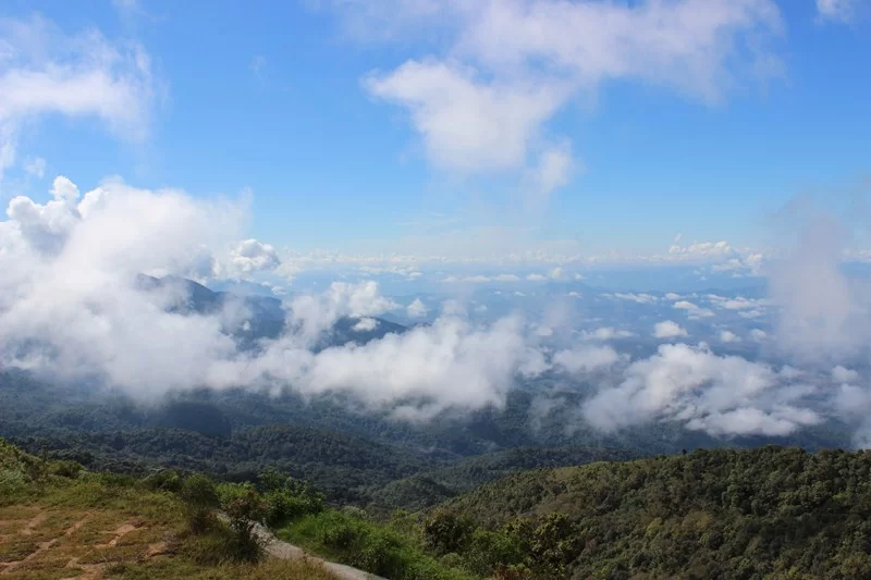 IMG_4048 [800x600].webp