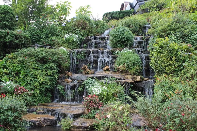 IMG_4080 [800x600].webp