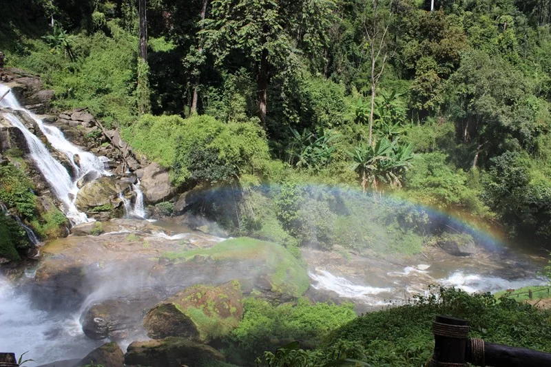 IMG_4095 [800x600].webp