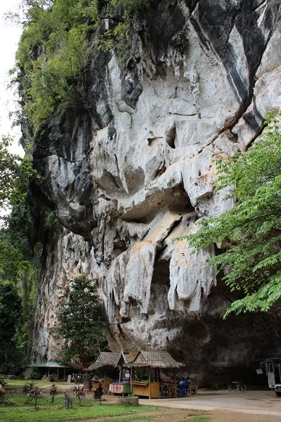 IMG_4104 [800x600].webp