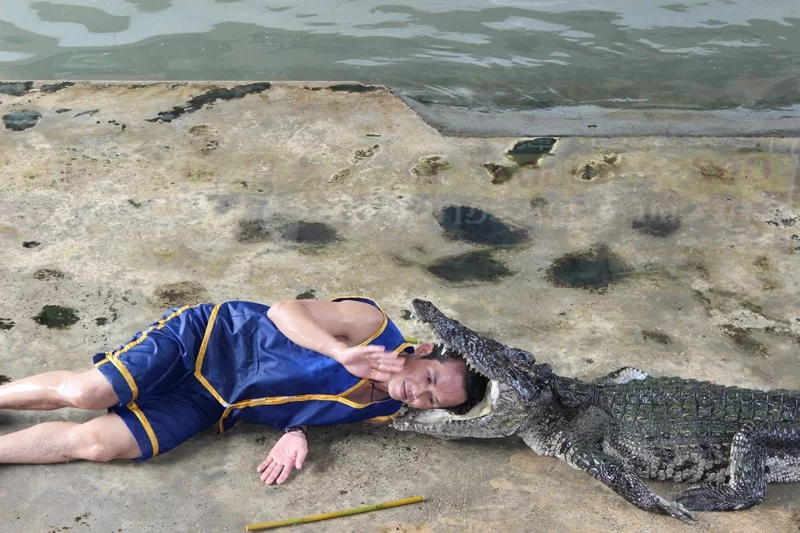 IMG_4185 [800x600].webp