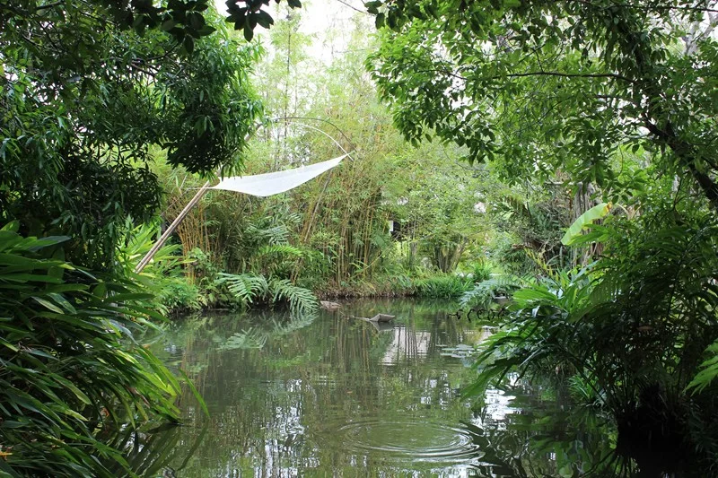 IMG_4211 [800x600].webp