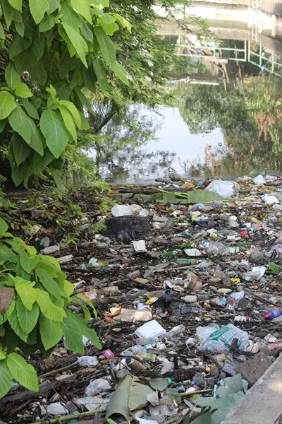 IMG_4297 [800x600].webp