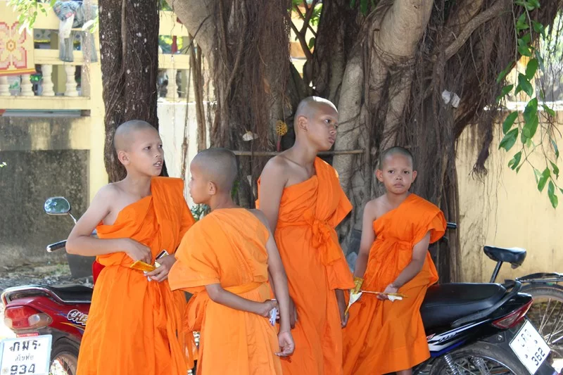 IMG_4328 [800x600].webp