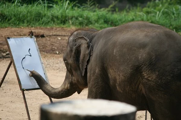 IMG_4371 [800x600].webp