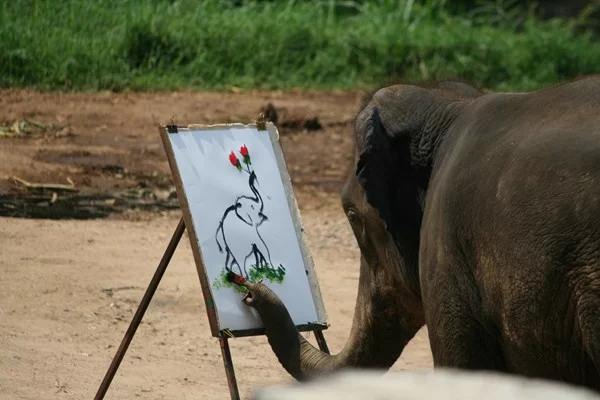 IMG_4377 [800x600].webp