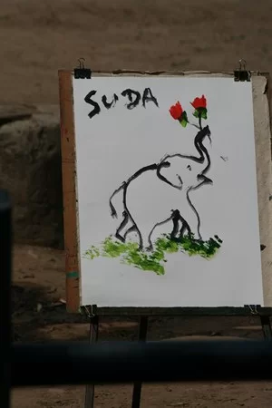 IMG_4379 [800x600].webp