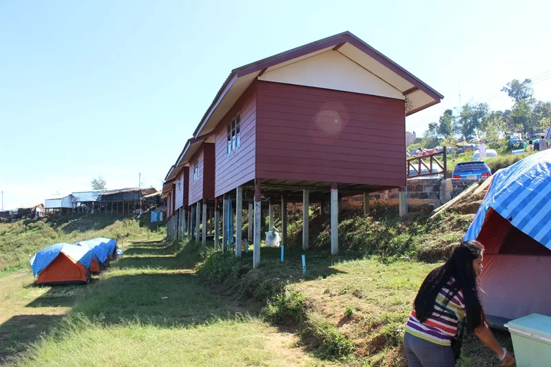 IMG_4414 [800x600].webp