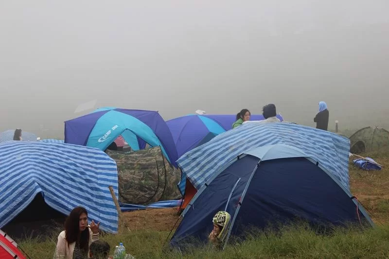 IMG_4459 [800x600].webp