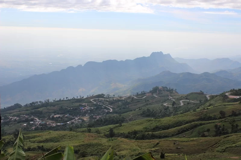 IMG_4497 [800x600].webp