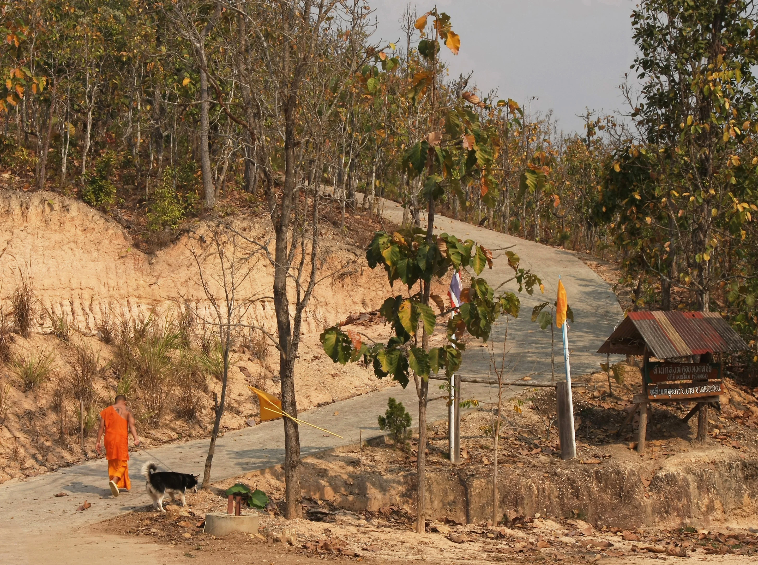 IMG_5021 copy 2.webp