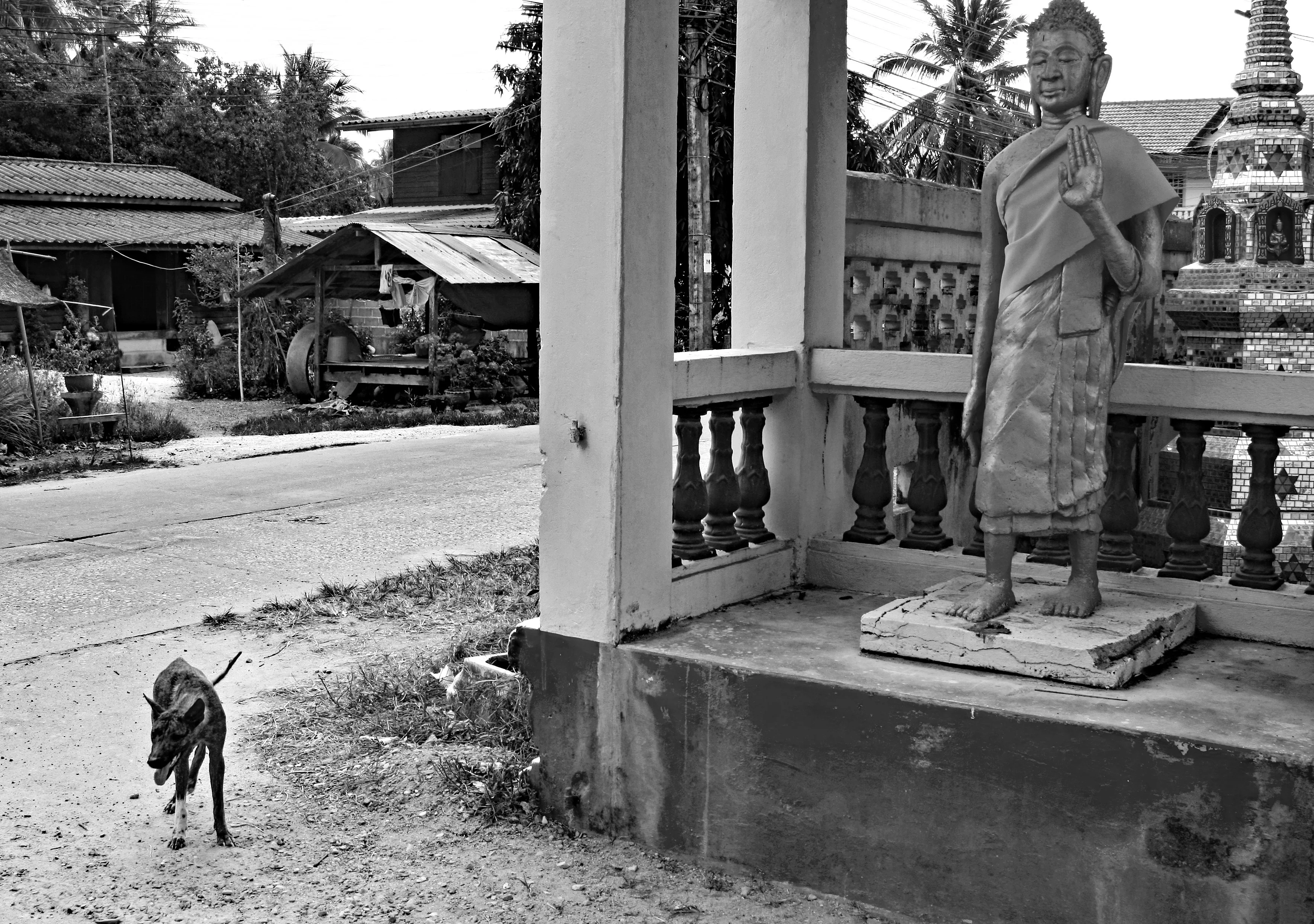 IMG_6721 copy ahr bw 2.webp