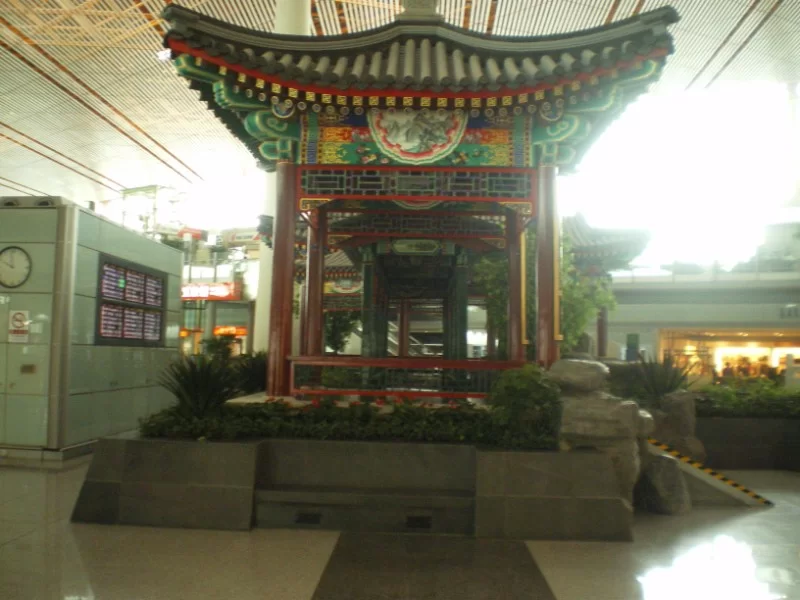 IMGP1650 [800x600].webp