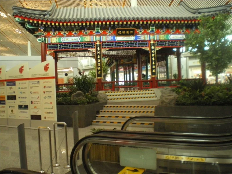 IMGP1653 [800x600].webp