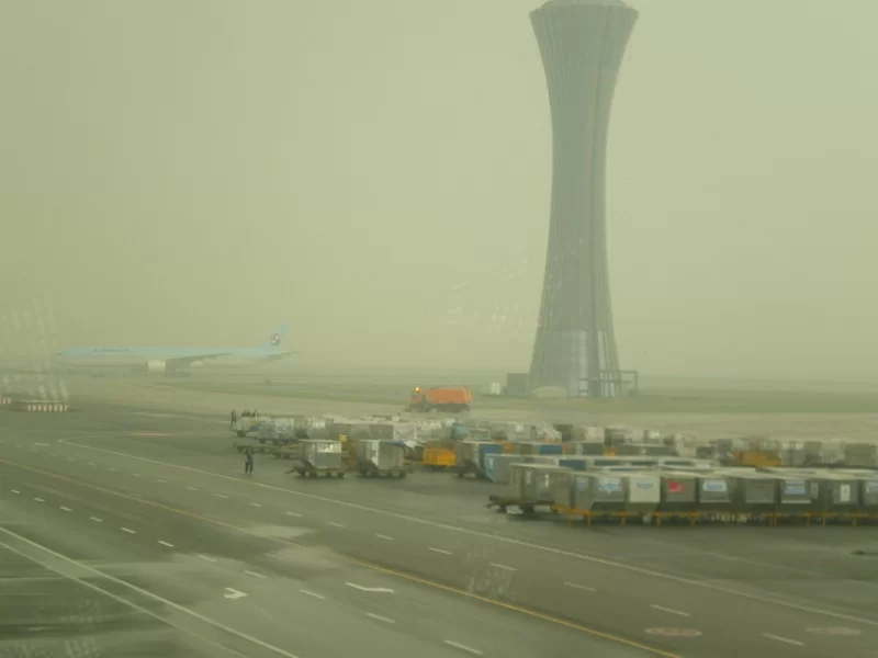 IMGP1654 [800x600].webp